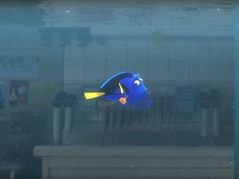 Finding Dory (2016) | 