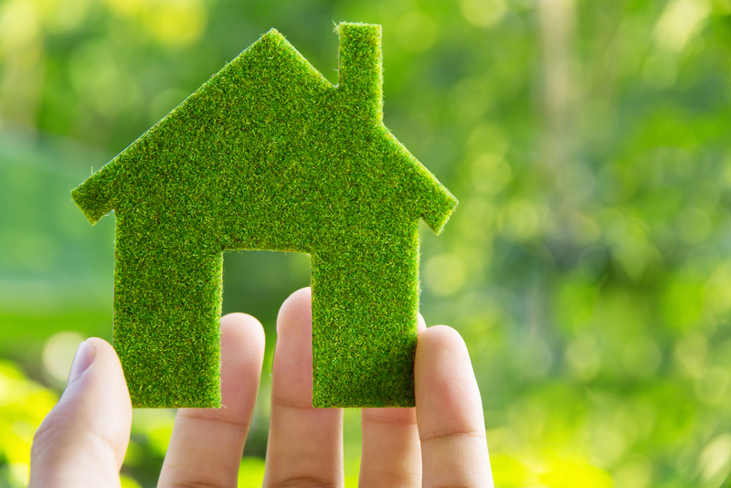A New Way of Living: Turning Your Home Greener | Shutterstock