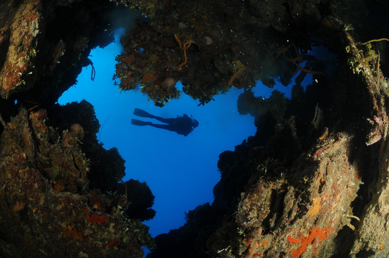 Cuban Underwater Formation | Alamy Stock Photo