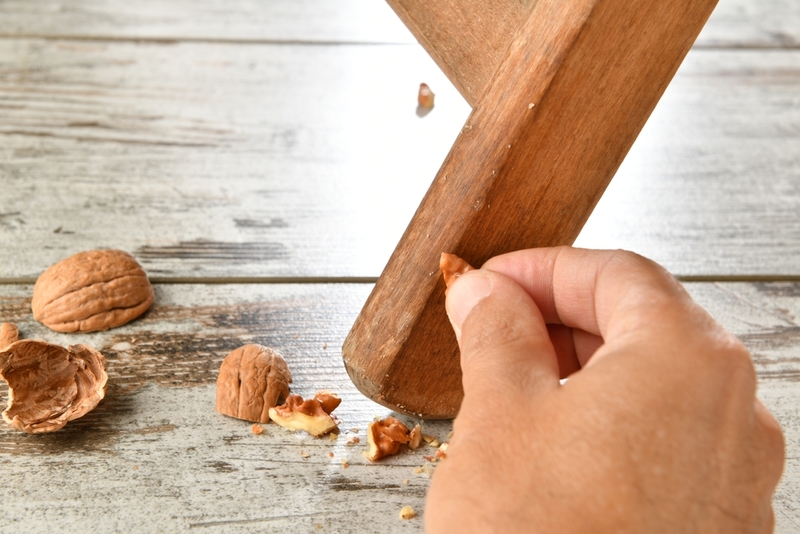 Go Nuts – It’s Always a Good Idea  | Shutterstock