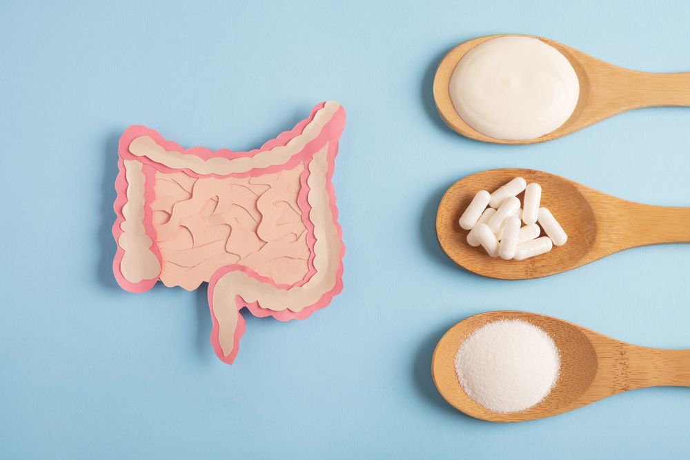 Improved Gut Health and Digestion With Probiotics and More