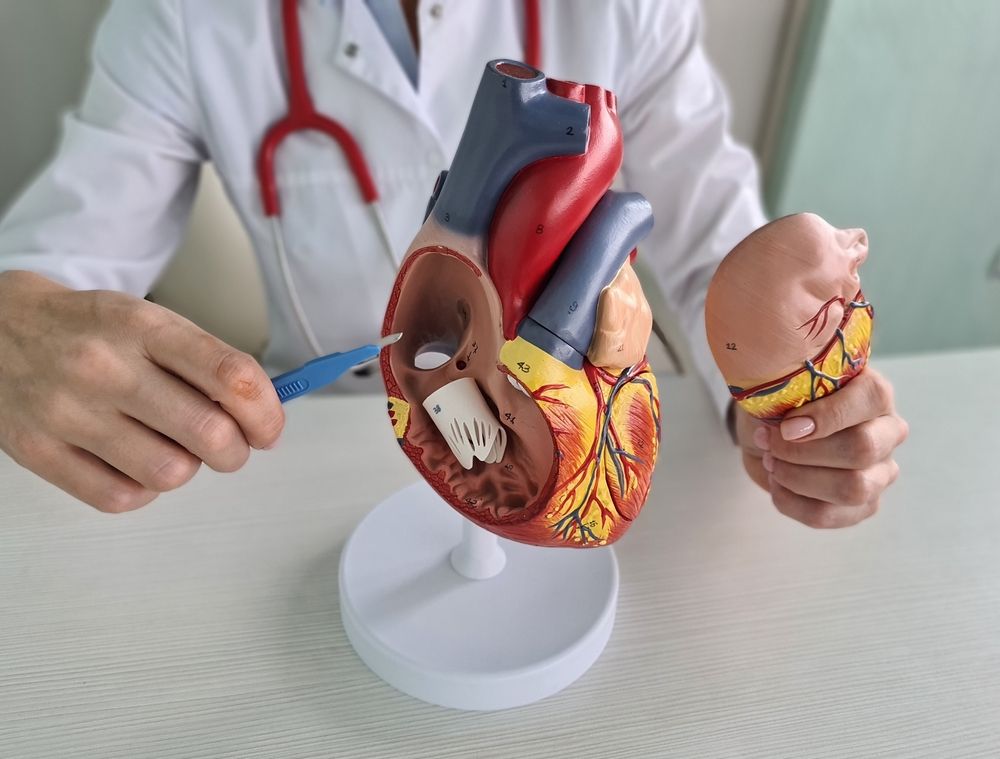 Renewing Heart Health with TAVR for Seniors