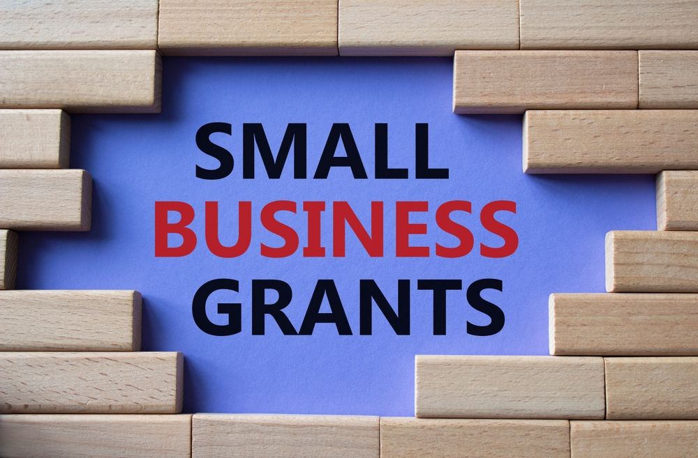 Unlocking Opportunities with Small Business Grants