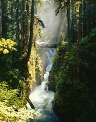 Pacific Northwest: Olympic National Park to Silver Falls State Park | 