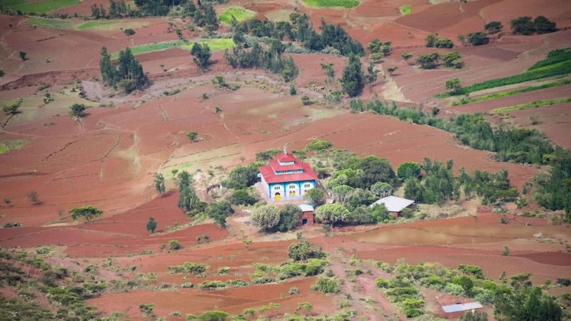 Ethiopia’s Church Forests are a Sight to See | 