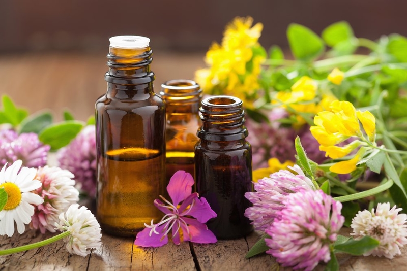 The Best Essential Oils and How to Use Them | 