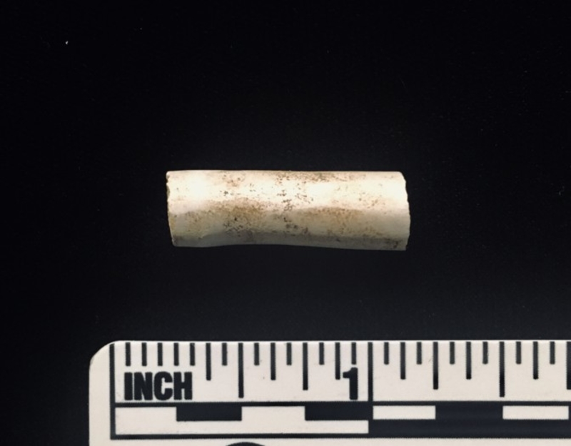 The 2-Century-Old Tobacco Pipe That Linked Maryland to Sierra-Leone | 
