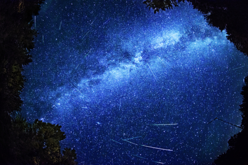 The ‘Origin Story’ of the Perseid Meteor Shower | 