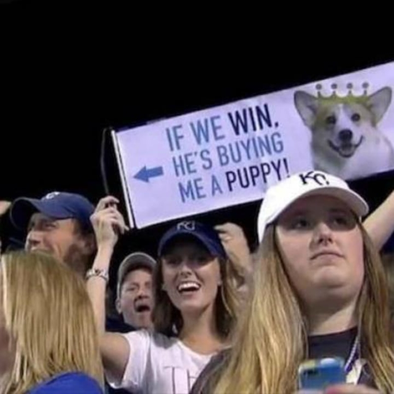 Do It for the Puppy | 