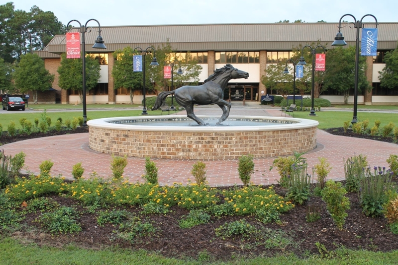 The University of South Carolina at Aiken | Facebook/@uscaiken