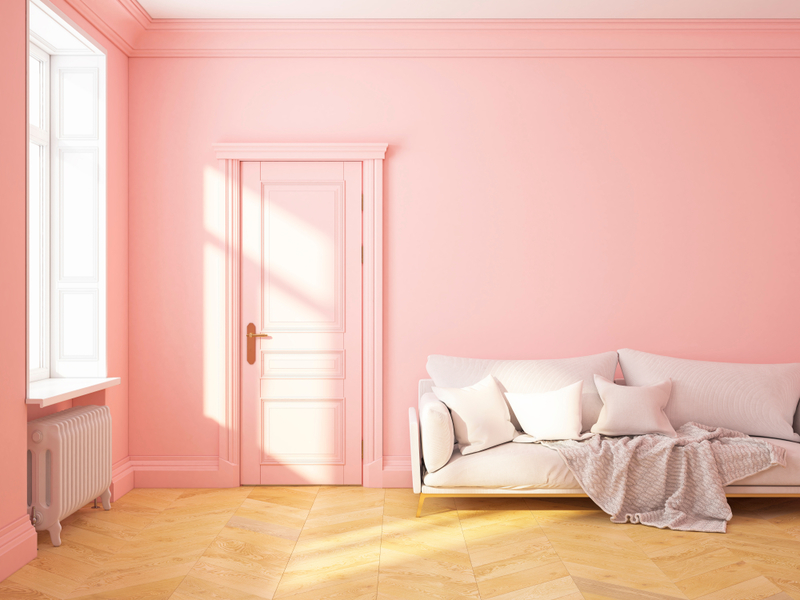 This Pink Isn't Cute Anymore | YKvisual/Shutterstock 