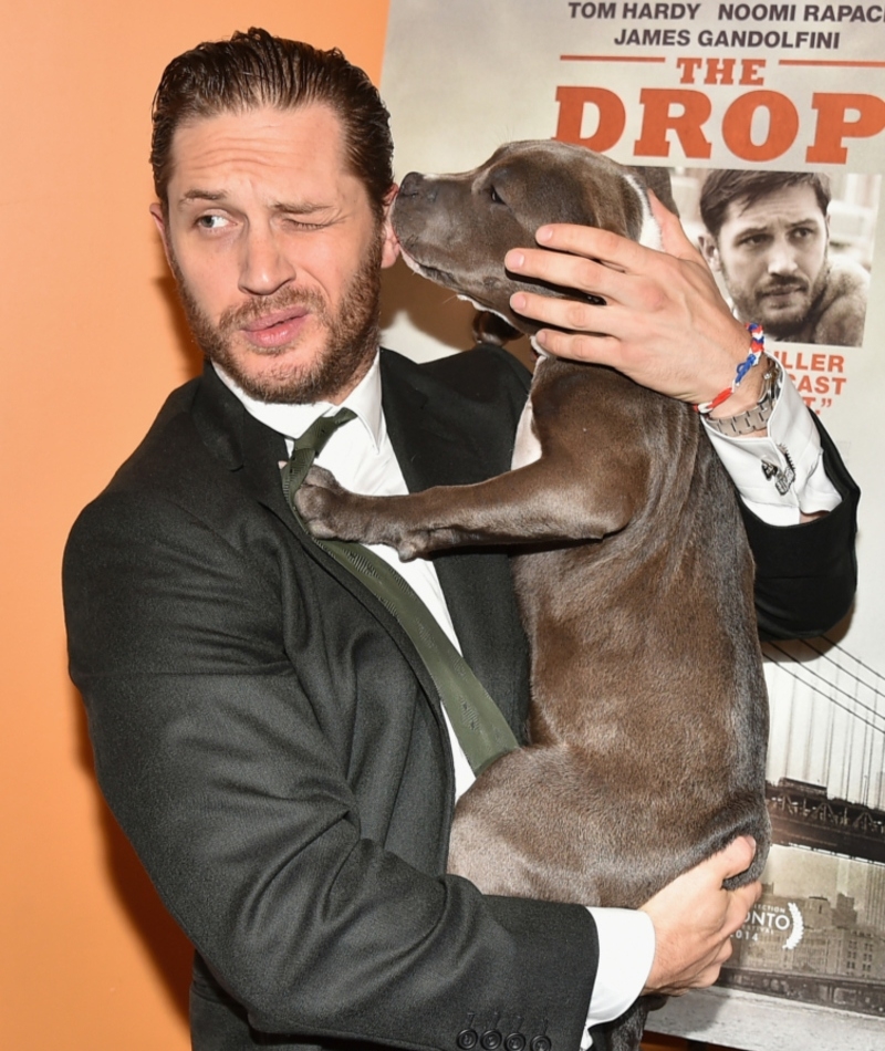 Tom Hardy | Getty Images Photo by Theo Wargo