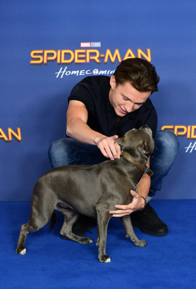 Tom Holland | Getty Images Photo by Ian West/PA Images