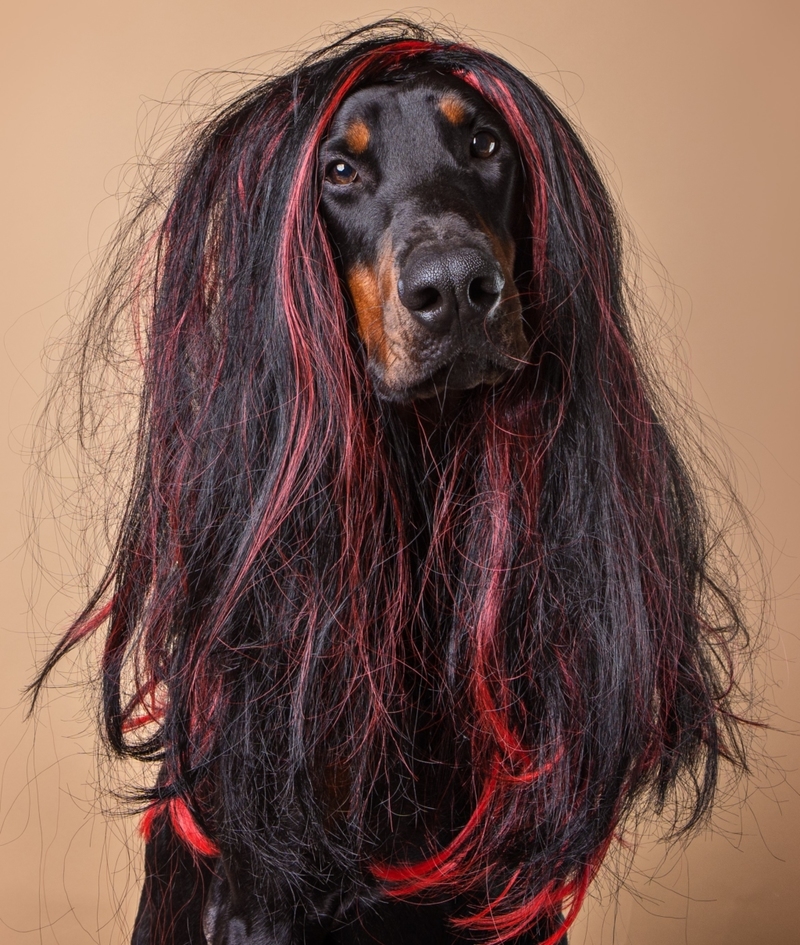 A Wig | Luiza Kleina/Shutterstock
