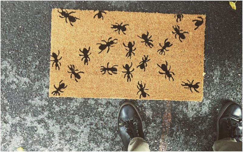 Tread Carefully, Ants at Work | Instagram/@myrmoman