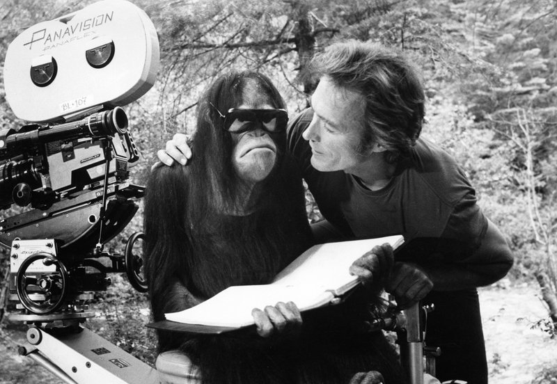 Clint Eastwood Unwinds With a Book and Manis the Orangutan | Alamy Stock Photo by PictureLux/The Hollywood Archive 