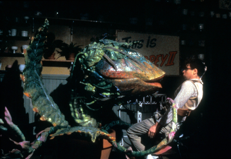 Little Shop of Horrors The Strange But Addictive B Movie | Alamy Stock Photo by Moviestore Collection Ltd