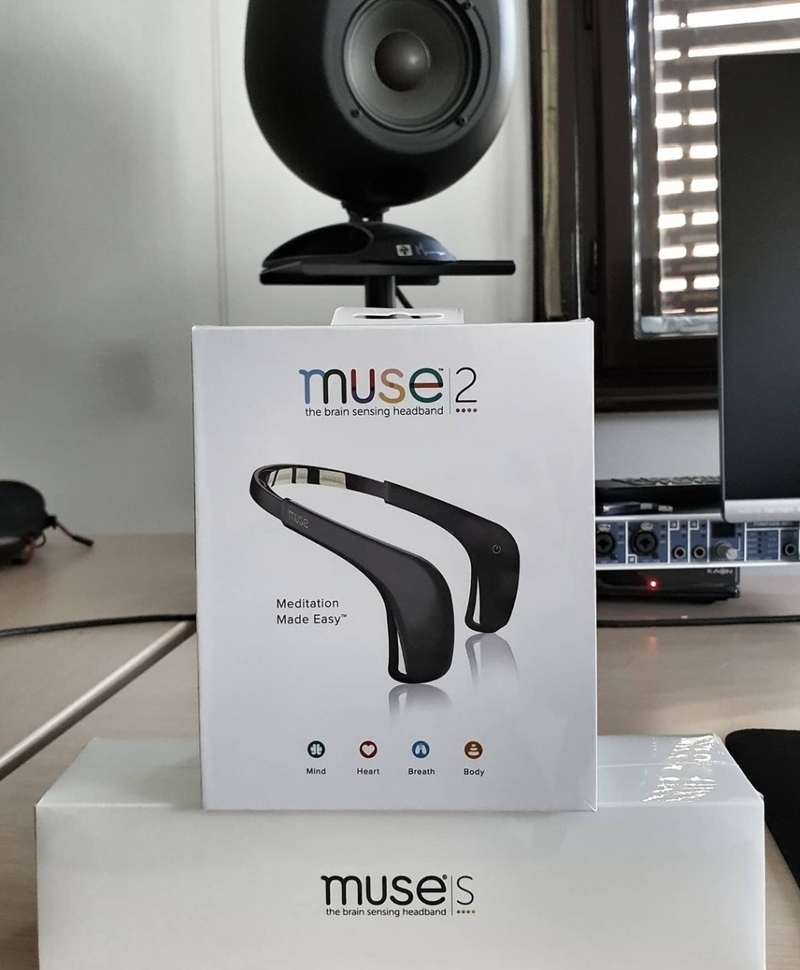 Muse 2 EEG Device | Instagram/@laurentiuguran