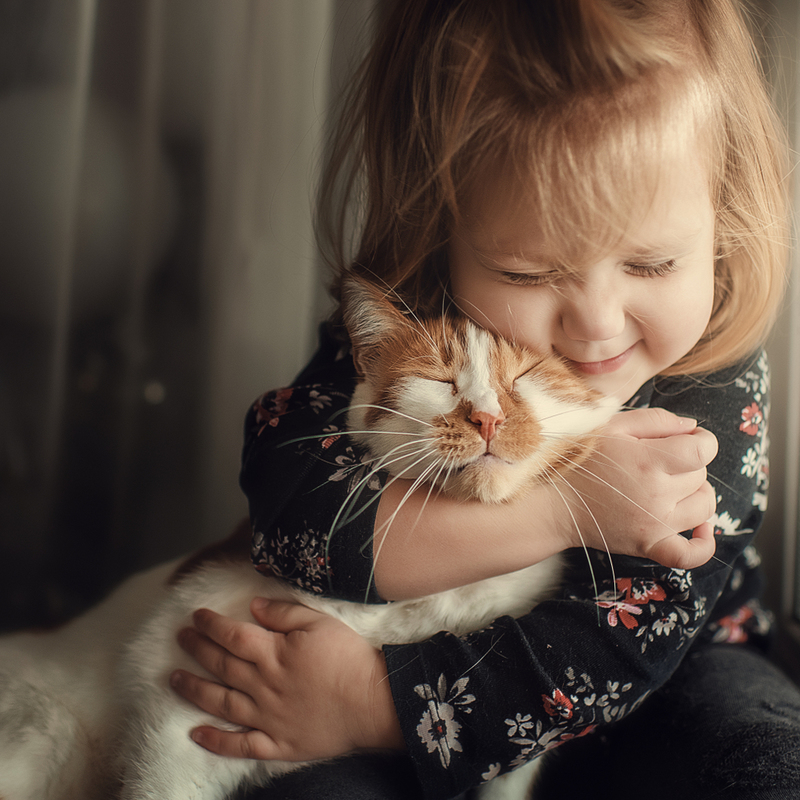 A Kid's Best Friend | Shutterstock