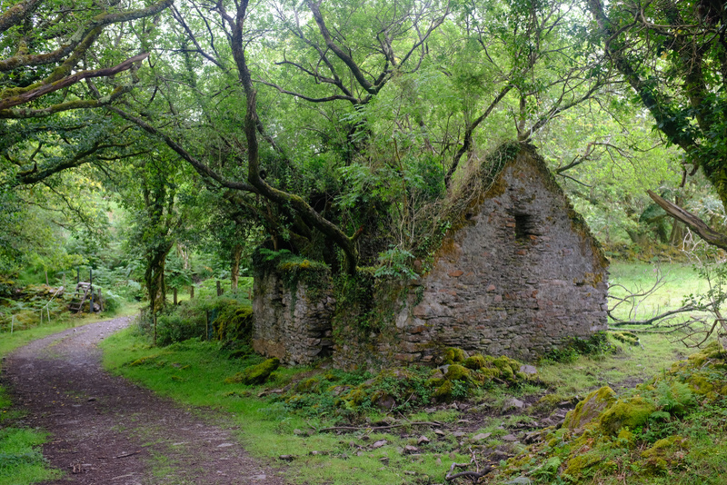 Abandoned Cottage at The Kerry Way Walking Path | Shutterstock