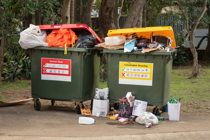 Overfill the Garbage Bin | Shutterstock