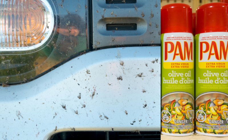 Usa aerosol de cocina Pam para eliminar los insectos de los parachoques | Shutterstock
