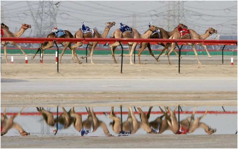 Deporte ancestral | Getty Images Photo by Chris Jackson