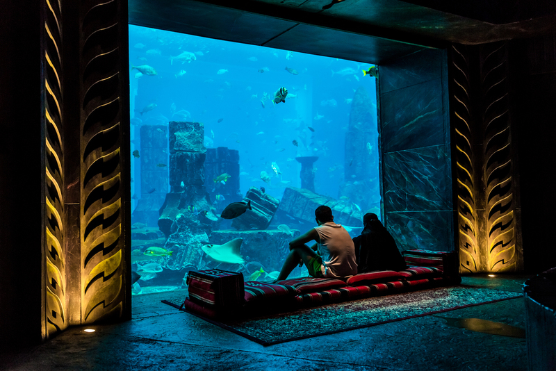 Durmiendo con los peces | Shutterstock