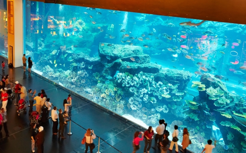 El acuario más grande del mundo | Alamy Stock Photo