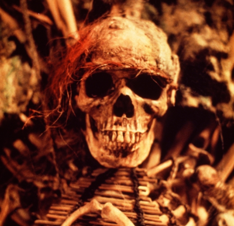 A Bonafide Skull | Alamy Stock Photo by TCD/Prod.DB