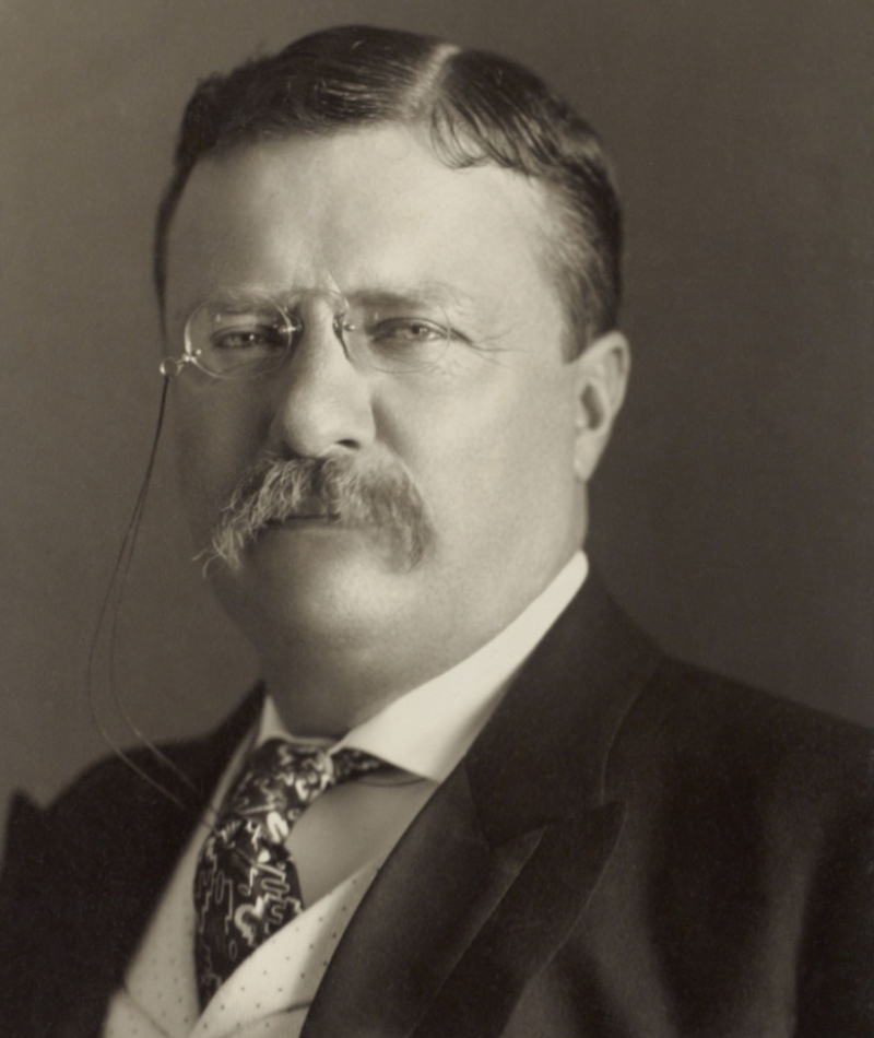 35. Theodore Roosevelt (No. 26) – IQ 153 | Shutterstock