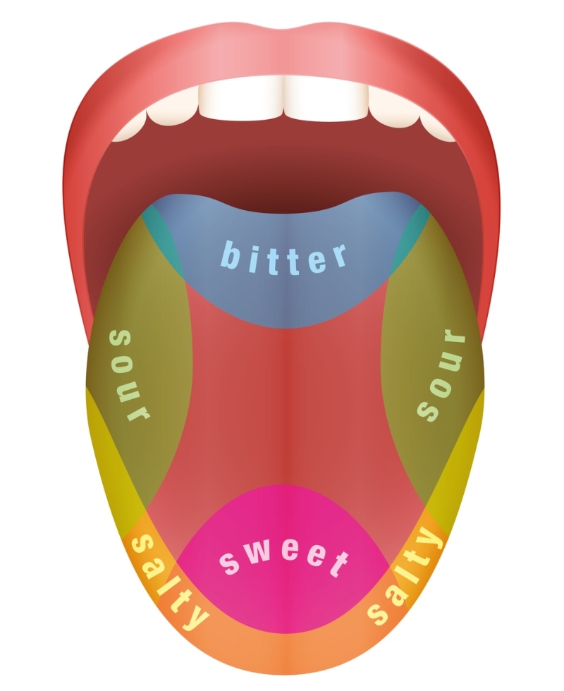 Different Parts of Your Tongue Taste Different Flavors | Shutterstock
