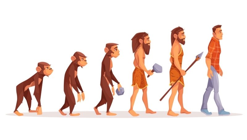 Human Beings Evolved From Monkeys | Shutterstock