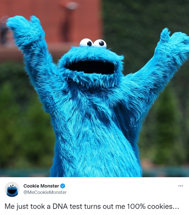 Cookie Monster | Getty Images Photo by Rich Schultz & Twitter/@MeCookieMonster