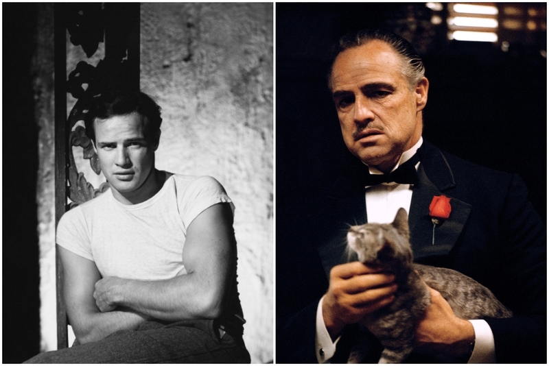 Marlon Brando (Años 1950 y de 1960) | Getty Images Photo by John Kobal Foundation & Alamy Stock Photo