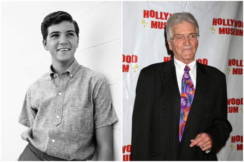 Paul Petersen (Años 1950 y 1960) | Getty Images Photo by Graphic House & Shutterstock