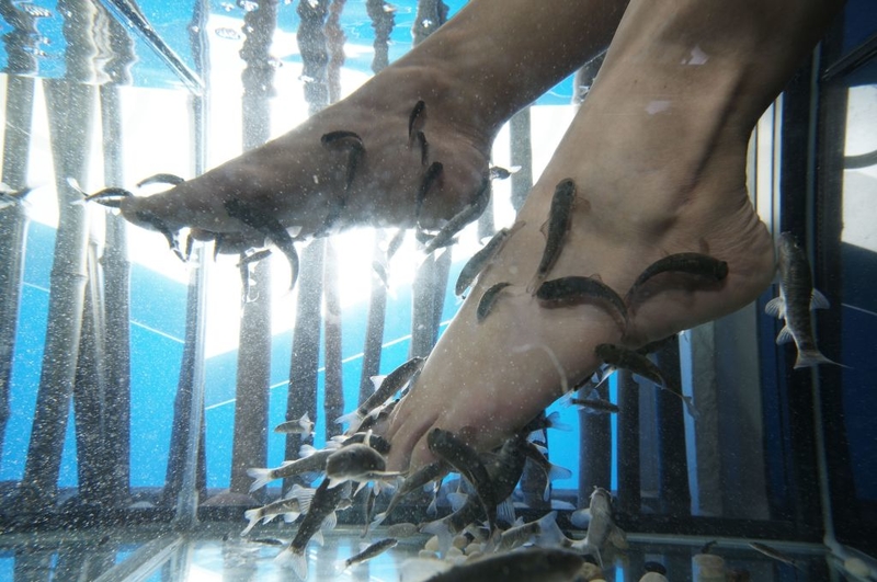 Lasst die Fische angeln | Getty Images Photo by Herve MASCOT/Gamma-Rapho 
