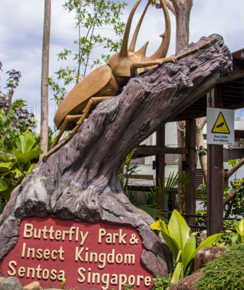 Schmetterlinge und Insekten | Alamy Stock Photo by Danny Ye