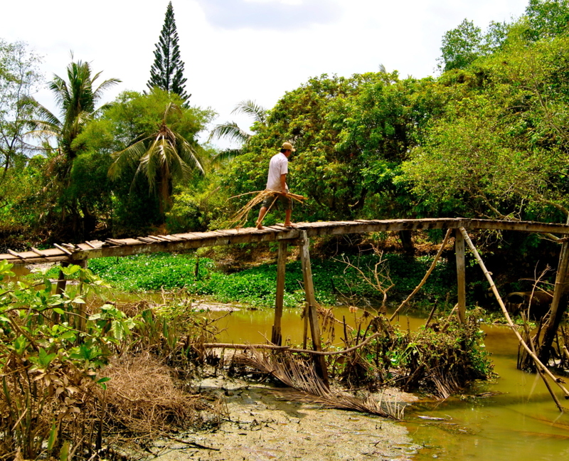 Puentes de monos, Vietnam | Alamy Stock Photo by grant massey