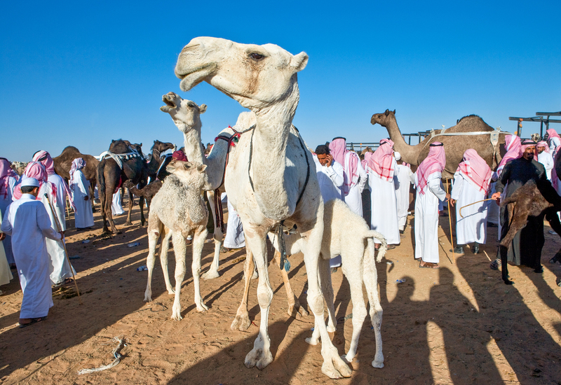Arabia Saudita | Shutterstock