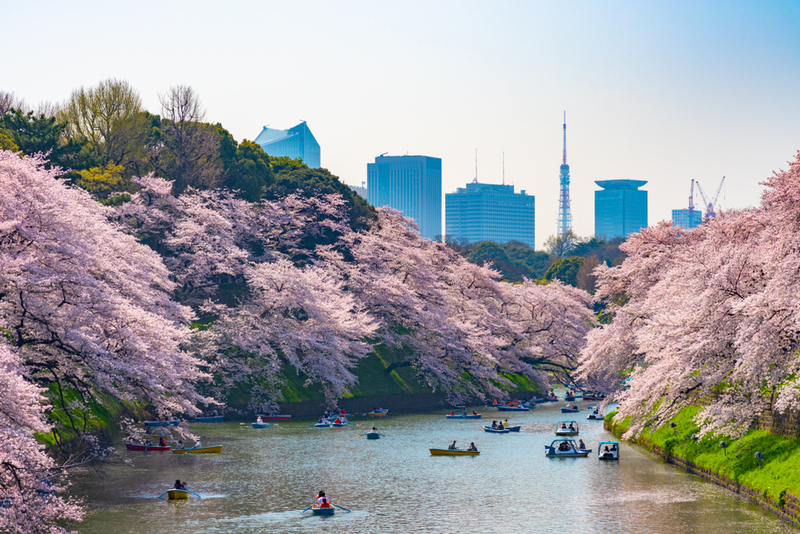 Tokio, Japón | Shutterstock