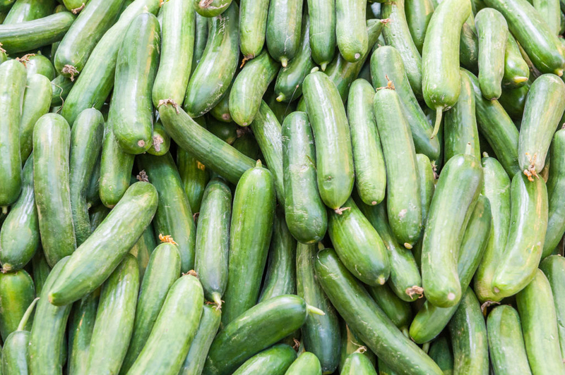 Cukes Are Cool Under Pressure | Getty Images Photo by Michael Jacobs/Art in All of Us/Corbis