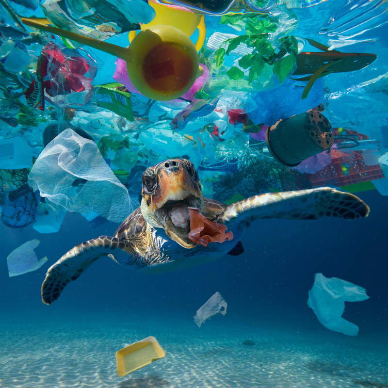 The Ocean’s Plastic Karma | Alamy Stock Photo