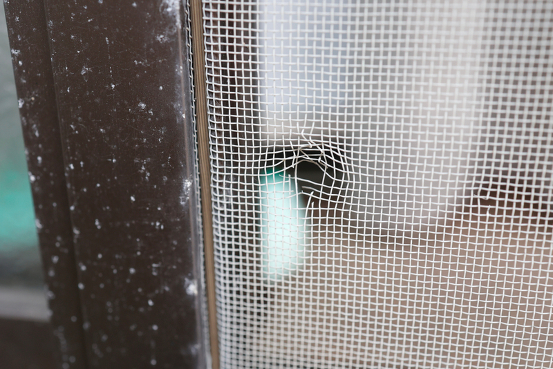 Repairing A Tear In A Screen Door | Shutterstock