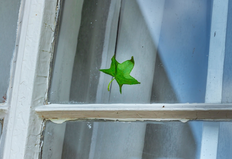 Open a Stuck Window | Alamy Stock Photo