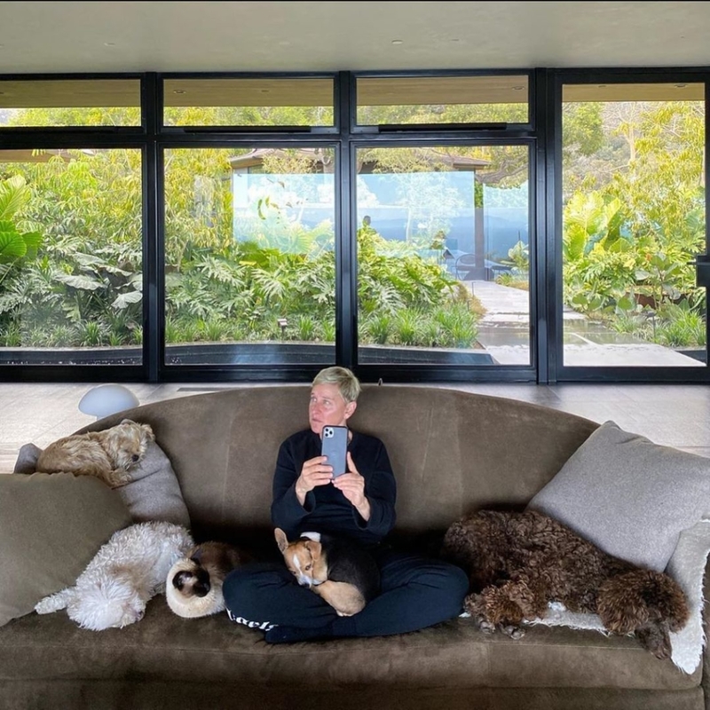 Ellen enfrenta las críticas | Instagram/@theellenshow