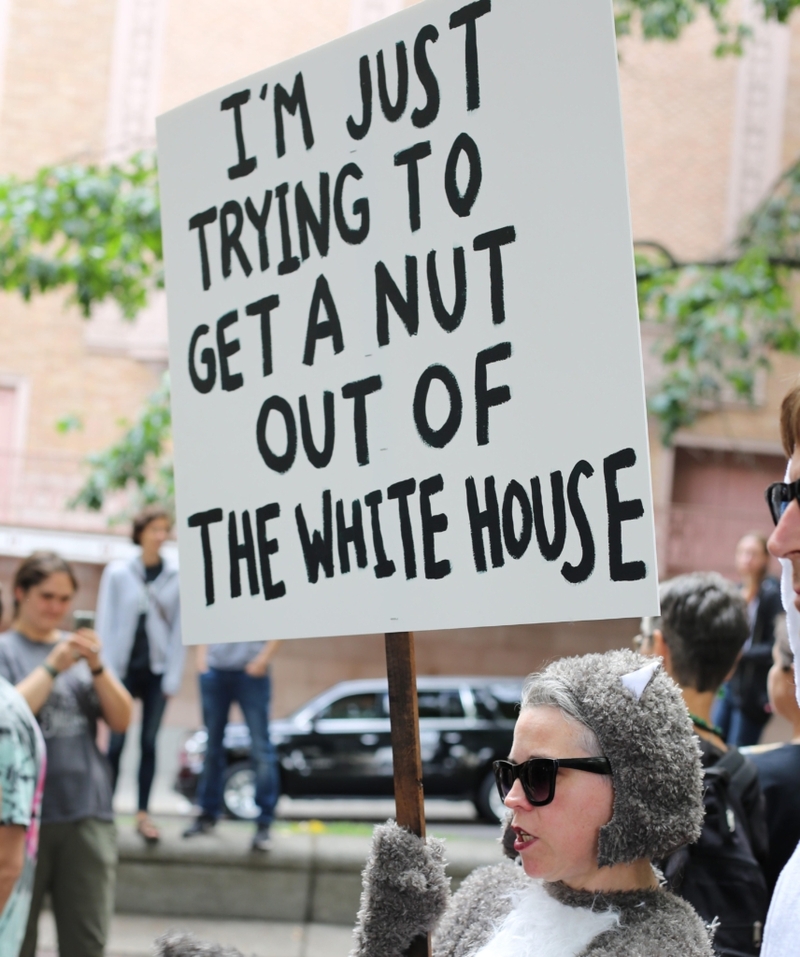 The Nutty Protester | Alamy Stock Photo by Gina Kelly