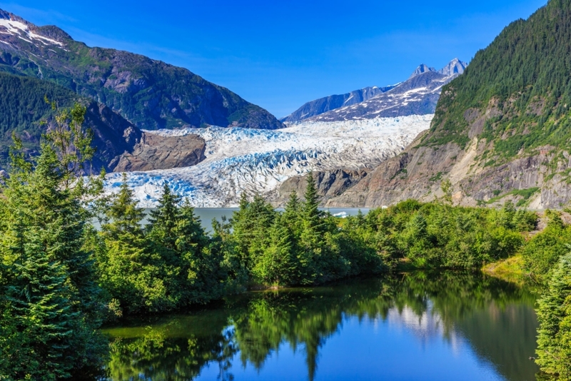 A Subglacial Forest | Shutterstock