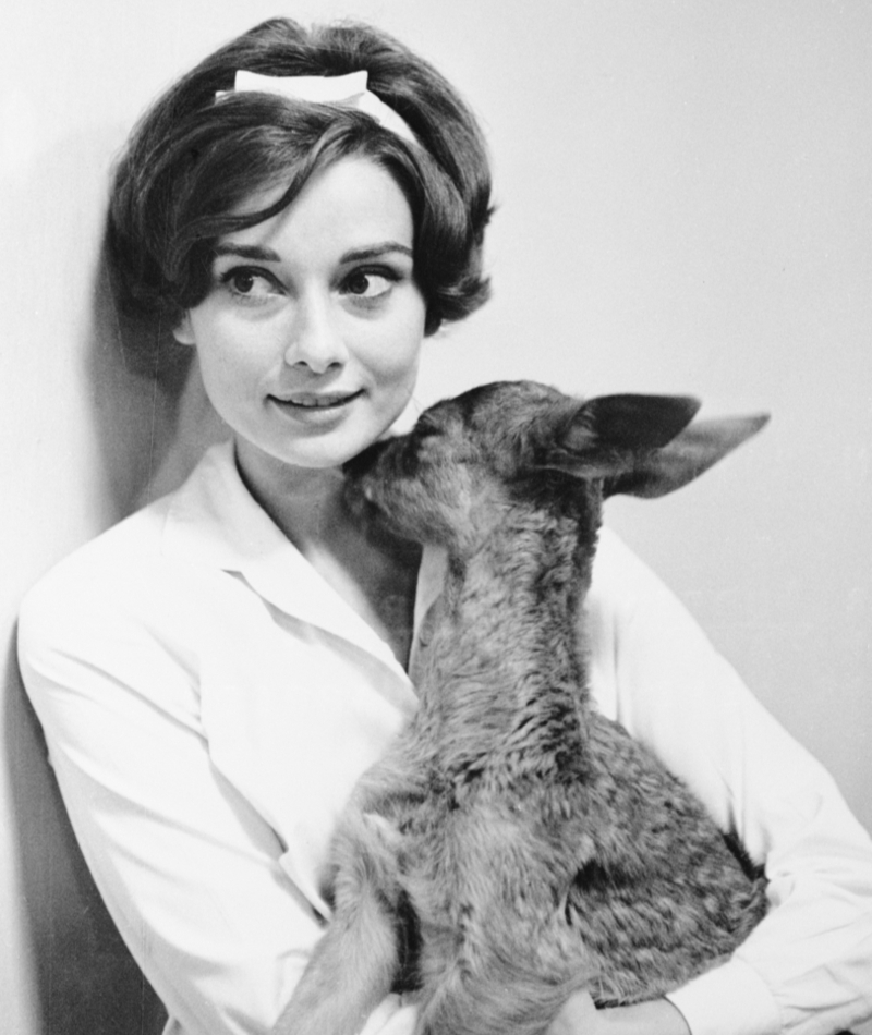 Mother of… Bambi? Miss Audrey Hepburn Shopping with Her Pet Deer, 1958 | Getty Images Photo by Bettmann