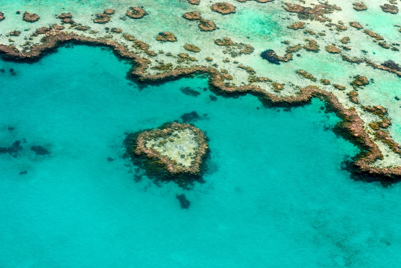El arrecife Heart | Shutterstock